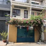 Cây Hoa Giấy Leo Giàn Cổng ( Hoa giấy xác pháo - Đỏ, trắng, vàng, cam, hồng)