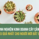 kinh doanh cay canh